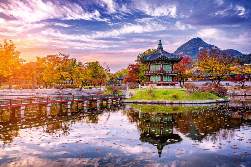 Da Seoul, metropoli dinamica dove grattacieli futuristici convivono armoniosamente con templi antichi e mercati vivaci, fino a Busan, città costiera rinomata per le sue spiagge dorate, i porti animati e l’inconfondibile street food coreano. Il viaggio prosegue verso Gyeongju, antica capitale del Regno di Silla, dove ogni angolo racconta secoli di storia: tombe reali, templi buddhisti e paesaggi culturali unici al mondo. Un’esperienza che unisce scoperta, divertimento e crescita personale, arricchita da lezioni in lingua inglese dedicate alla cultura coreana, per vivere un’immersione autentica tra passato e futuro.