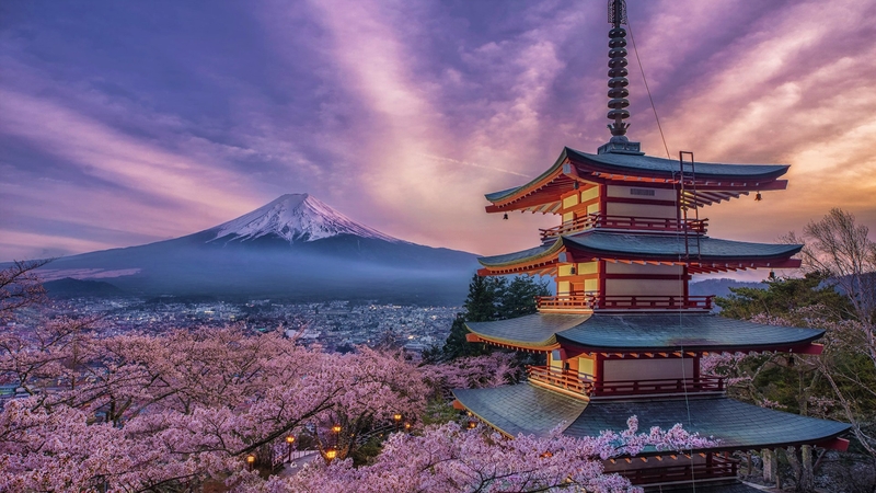 Da Tokyo, metropoli scintillante di luci, tecnologia e modernità, a Kyoto, custode di templi antichi, giardini zen e atmosfere senza tempo, ogni tappa sarà un incontro tra passato e futuro. Ammirerai la maestosità del Monte Fuji, simbolo del Paese del Sol Levante, e vivrai l’energia travolgente di Osaka, celebre per la sua gastronomia straordinaria, i quartieri vivaci e la sua contagiosa vitalità. Un’esperienza unica per chi sogna di scoprire la vera essenza del Giappone, con lezioni in lingua inglese dedicate alla cultura nipponica, tra arte, storia e innovazione.