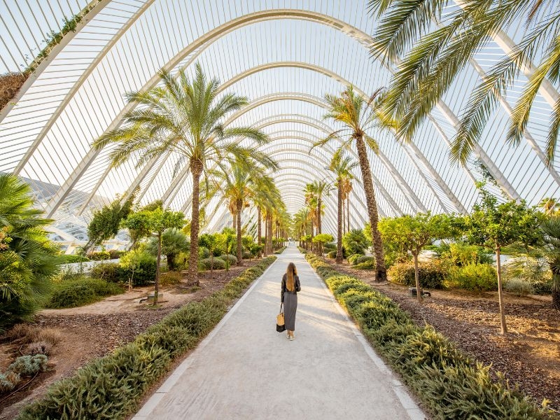 Vuoi migliorare il tuo spagnolo? La Spagna, patria delle tapas e dell’arte contemporanea, è ciò che fa per te se vuoi approfondire la conoscenza della lingua. Qui potrai esercitarti con i madrelingua, non soltanto a scuola, ma anche durante le tante visite ai monumenti ed attrazioni più famosi! Non solo Madrid e Barcellona, ma anche Salamanca ed Almuñecar sono le città in cui potrai vivere la tua esperienza grazie ai programmi Estate Junior di Trinity ViaggiStudio. Hai tra i 12 e i 19 anni? Iscriviti alla tua prossima vacanza studio in Spagna. Due settimane all’insegna dello spagnolo e del divertimento: 20 ore di lezione a settimana, ricco programma ricreativo e di escursioni nelle città più rappresentative. Contattaci