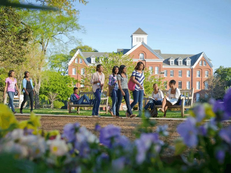 studio e alloggio canada